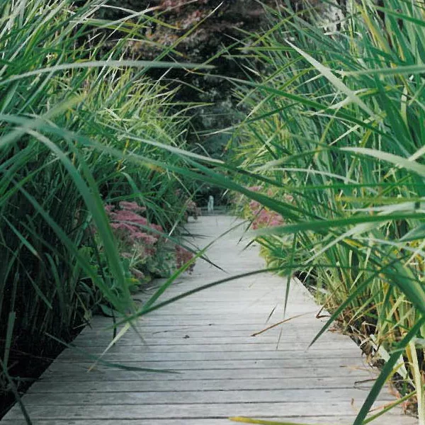 Jardin privé : Annecy, Haute-Savoie