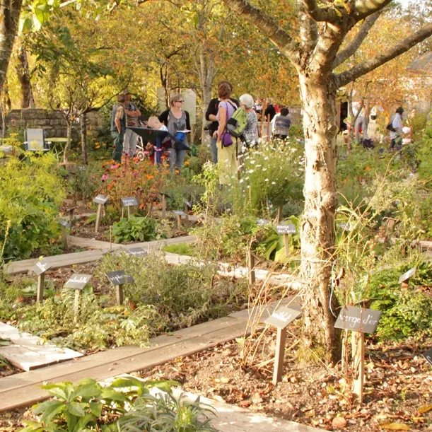 Jardins de la Maison de l’environnement • La Rivière Drugeon, Doubs